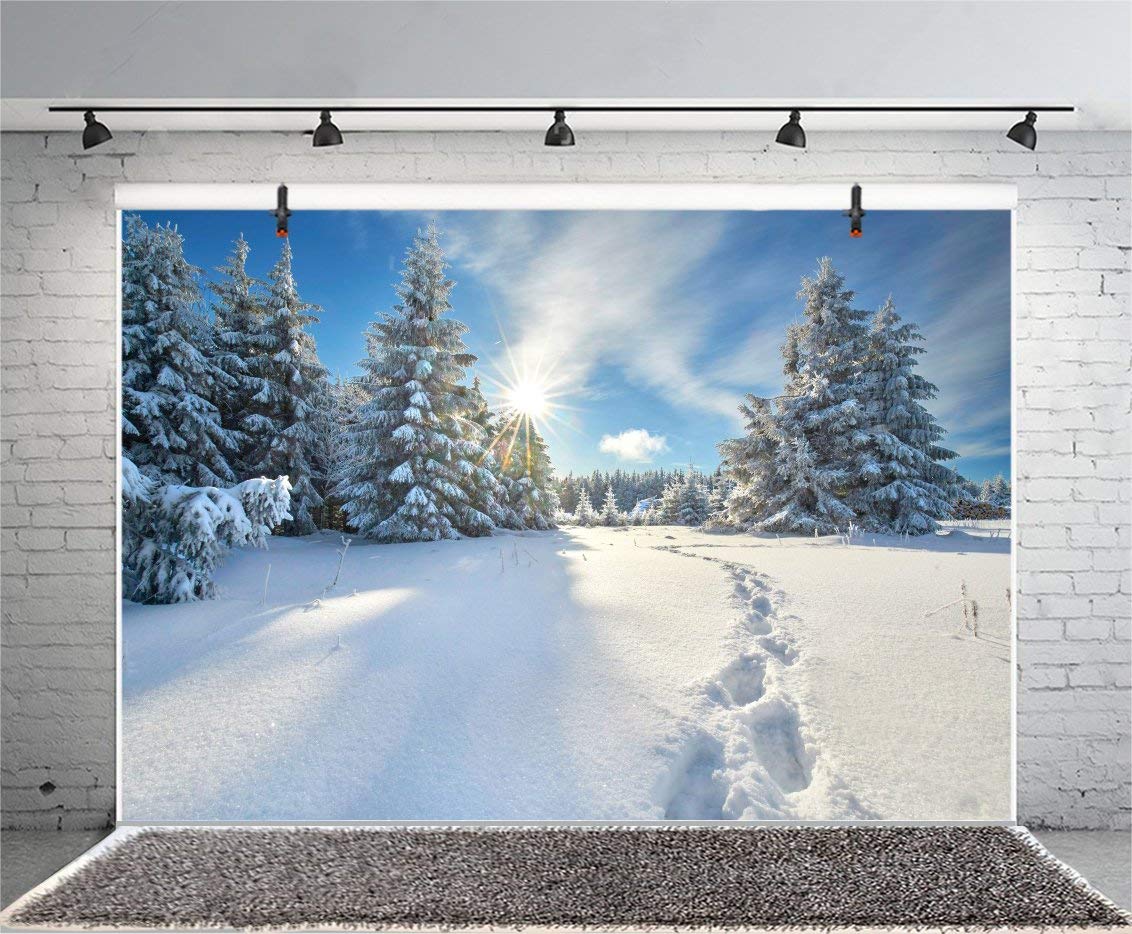 Amazon | 15 x 10フィート 足跡 雪の森の背景 冬 日光 雪景色